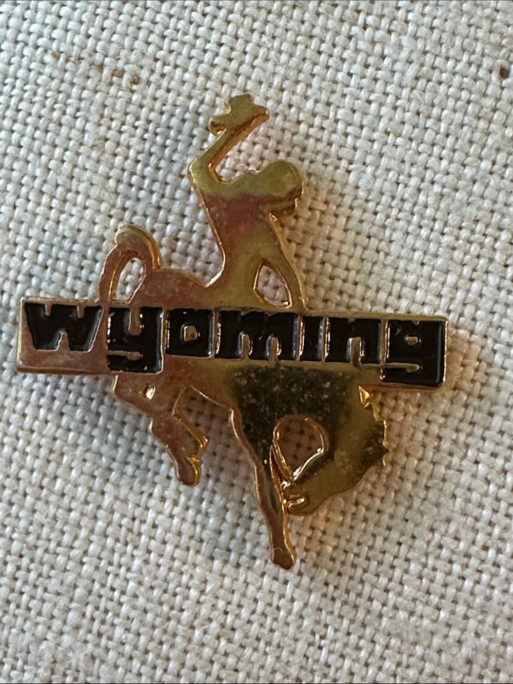 Vintage Wyoming Gold Rodeo Bucking Horse Pin - Gold and Black